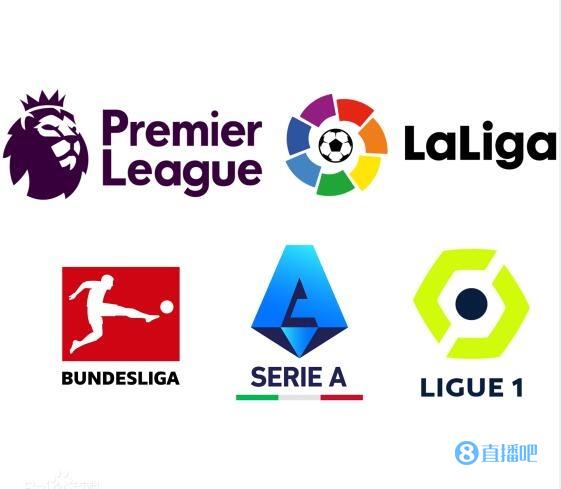 两队教练的 两队教练的